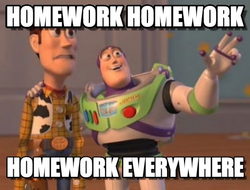 lots of homework meme