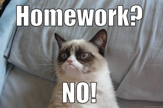 no homework