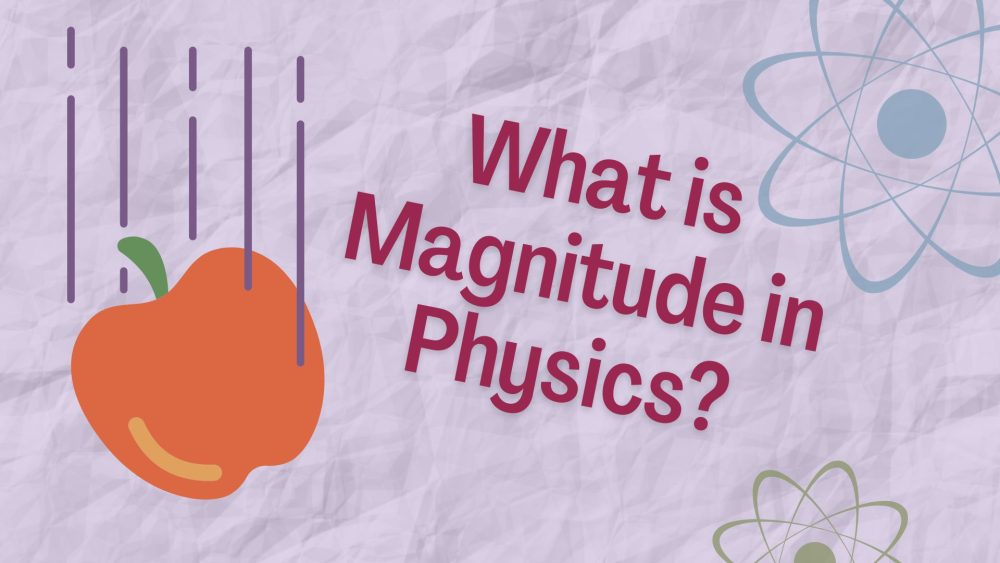 What Is Magnitude In Physics Class 10