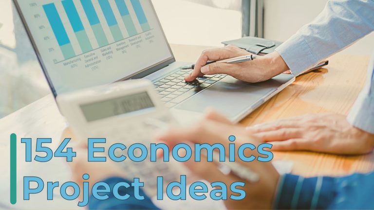 research project for economics